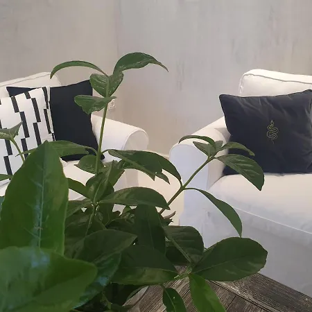 Dioni Luxury House