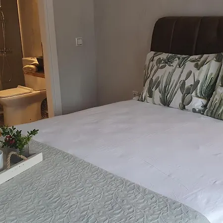 Дом отдыха Dioni Luxury House Nea Iraklitsa
