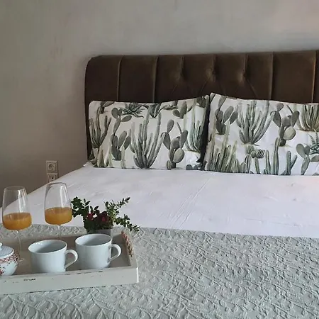 Dioni Luxury House Nea Iraklitsa