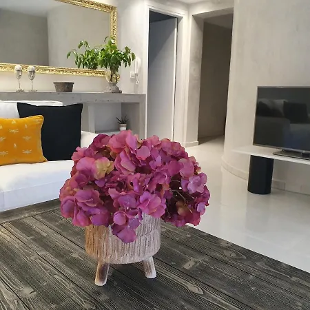 Dioni Luxury House *